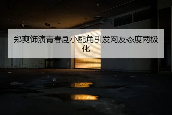 郑爽饰演青春剧小配角引发网友态度两极化